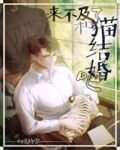 来不及了,和猫结婚吧