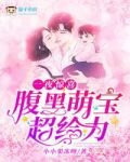 一夜惊喜:腹黑萌宝超给力