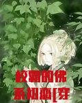 校霸的佛系初恋穿书txt百度云