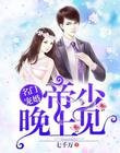 名门宠婚:帝少,晚上见