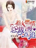 惹火燃情:总裁,慢点追