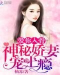 爱你入骨:神秘娇妻宠上瘾