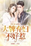 狂妻入怀:大牌弃妇不好惹?