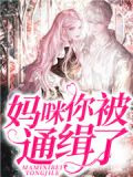 妈咪你被通缉了!