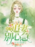 前夫,追妻别心急