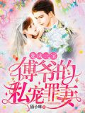 龙凤三宝:傅爷的私宠罪妻