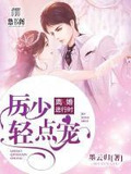 离婚进行时:厉少,轻点宠