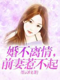 婚不离情,前妻惹不起