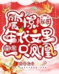 震惊!我在年代文里竟是一只凤凰
