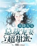 天降五宝:总裁宠妻超甜蜜