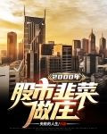 2000年股市,韭菜做庄
