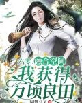 六零:融合空间,我获得万顷良田