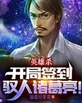 英雄杀:开局签到驭人诸葛亮!