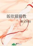 皈依猫猫教