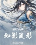 全职高手:如影随形
