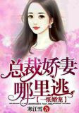 一纸婚宠:总裁娇妻哪里逃